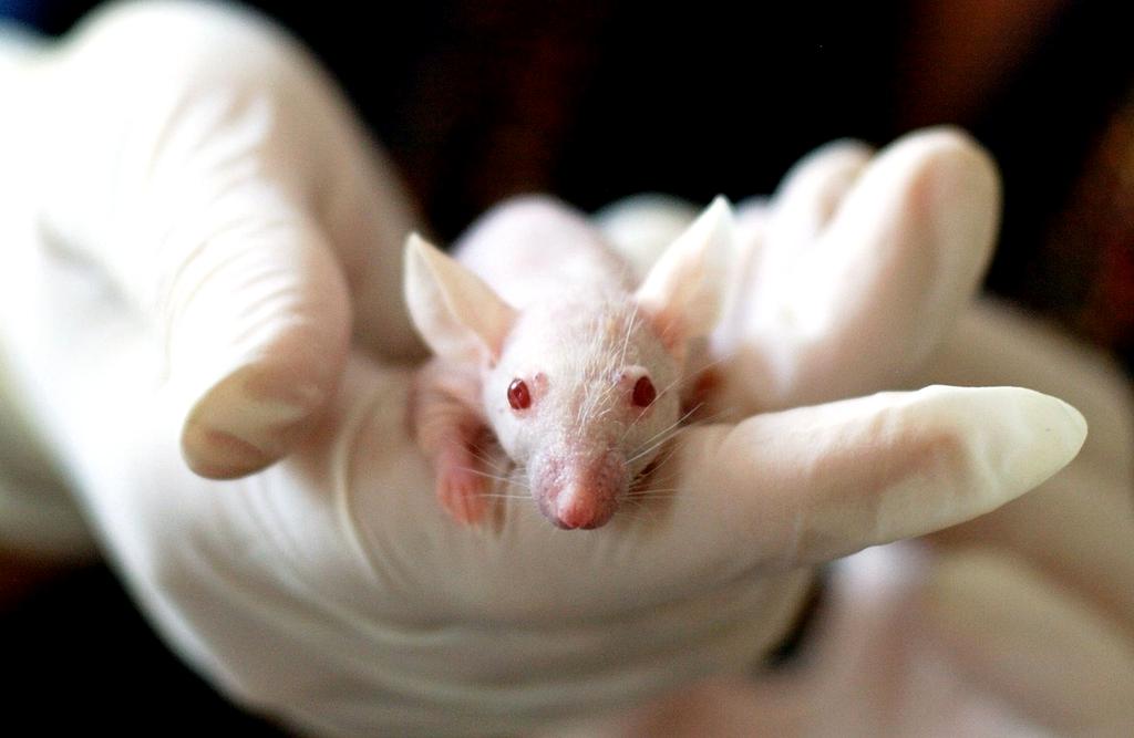 Researcher analyzing coffee effects in laboratory